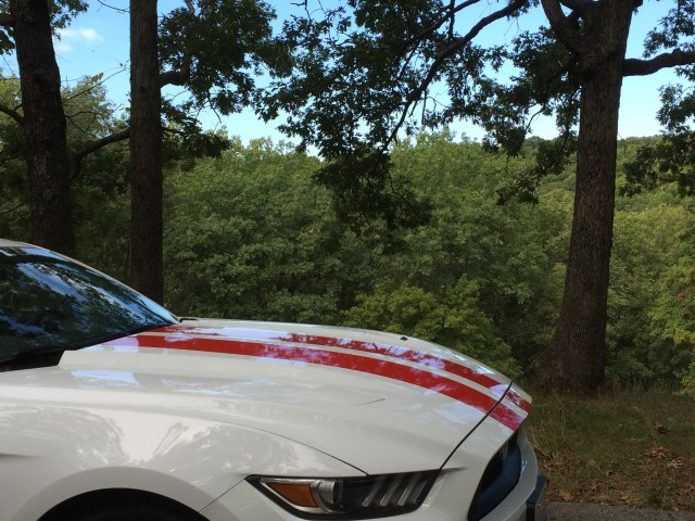 My beast, my baby...