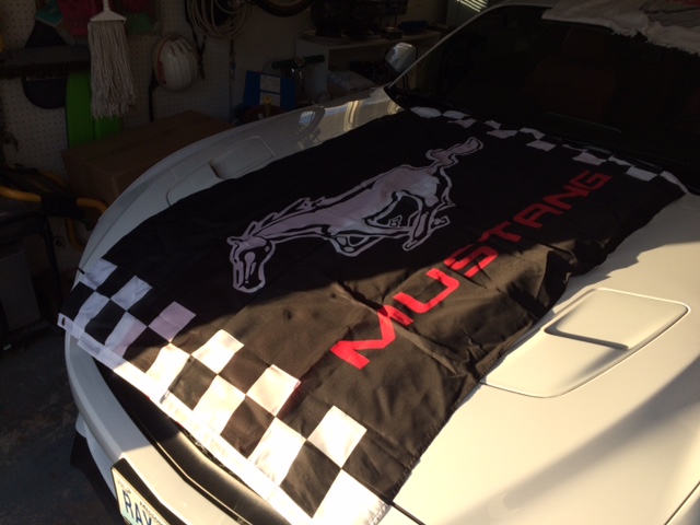 Keeps the dust off my stripes.